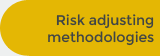 Risk adjusting methodologies